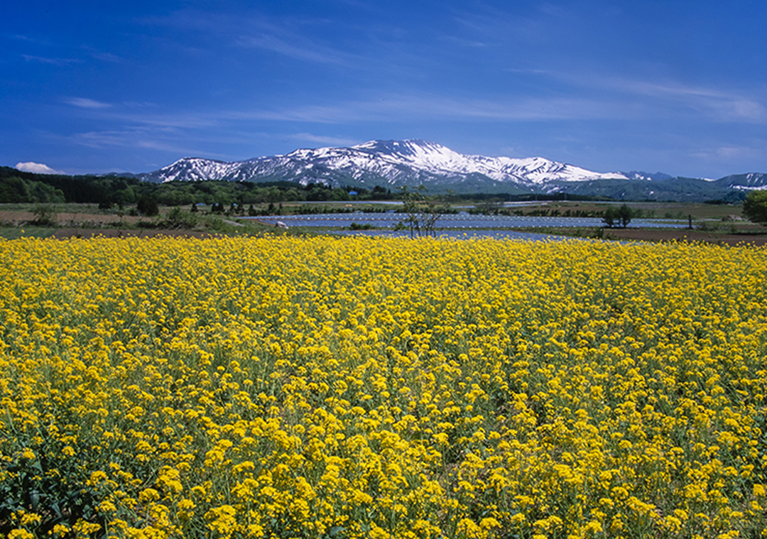 先祖の霊たちが鎮まる山 月山