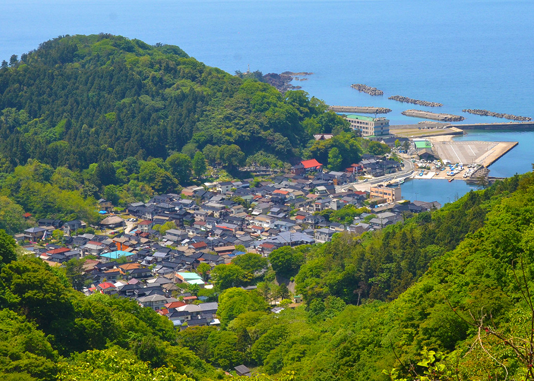 加茂港周辺の町並み
