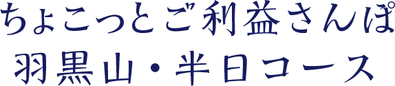 ちょこっとご利益さんぽ　羽黒山・半日コース