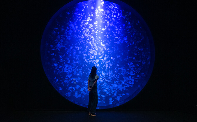 加茂水族館