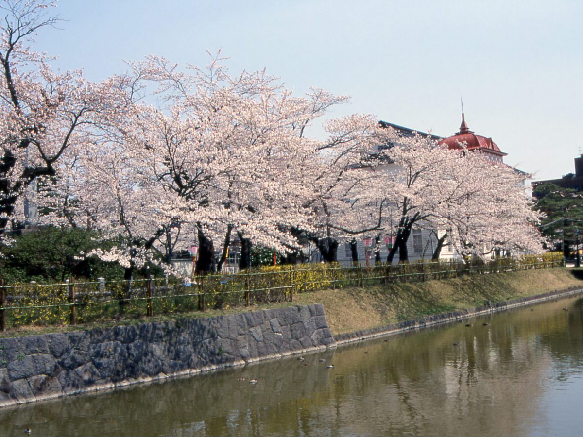 鶴岡公園 つるおか観光ナビ