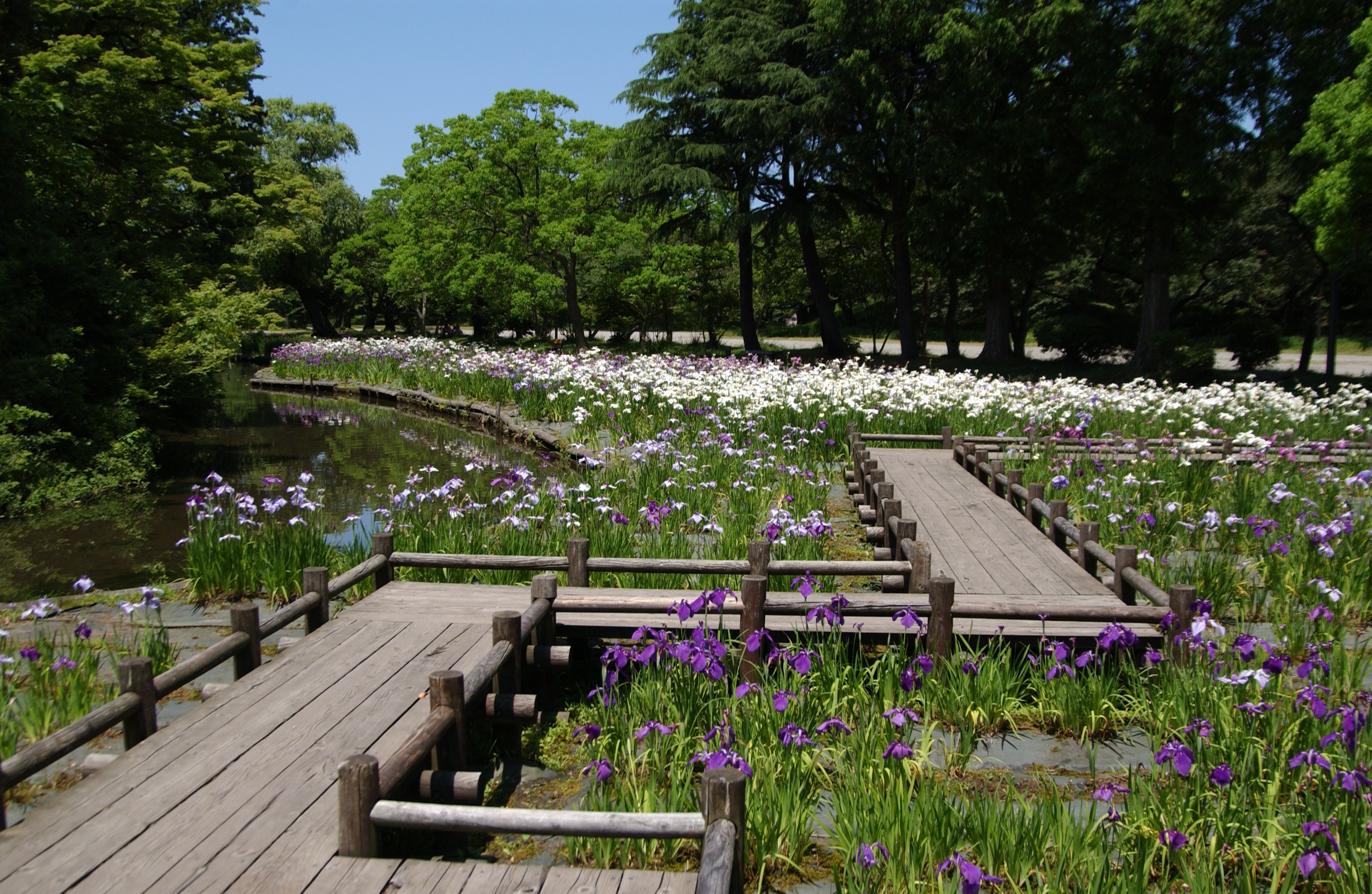 鶴岡公園散策 つるおか観光ナビ