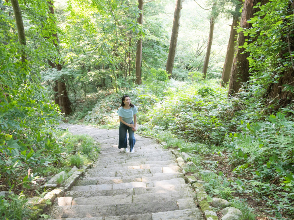 羽黒山の杉並木