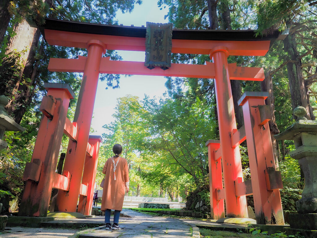 石段詣　羽黒山鳥居