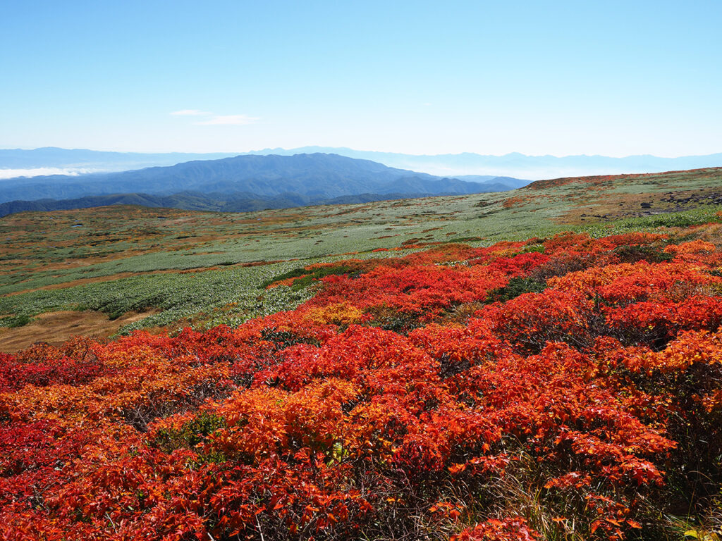 月山紅葉