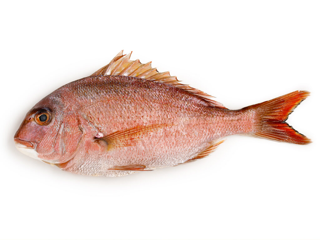 3a84fdafe24aab79c33ffe863d95ef