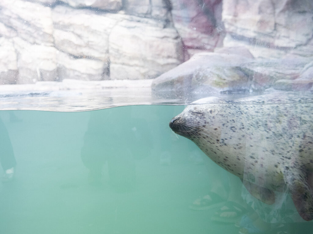 加茂水族館