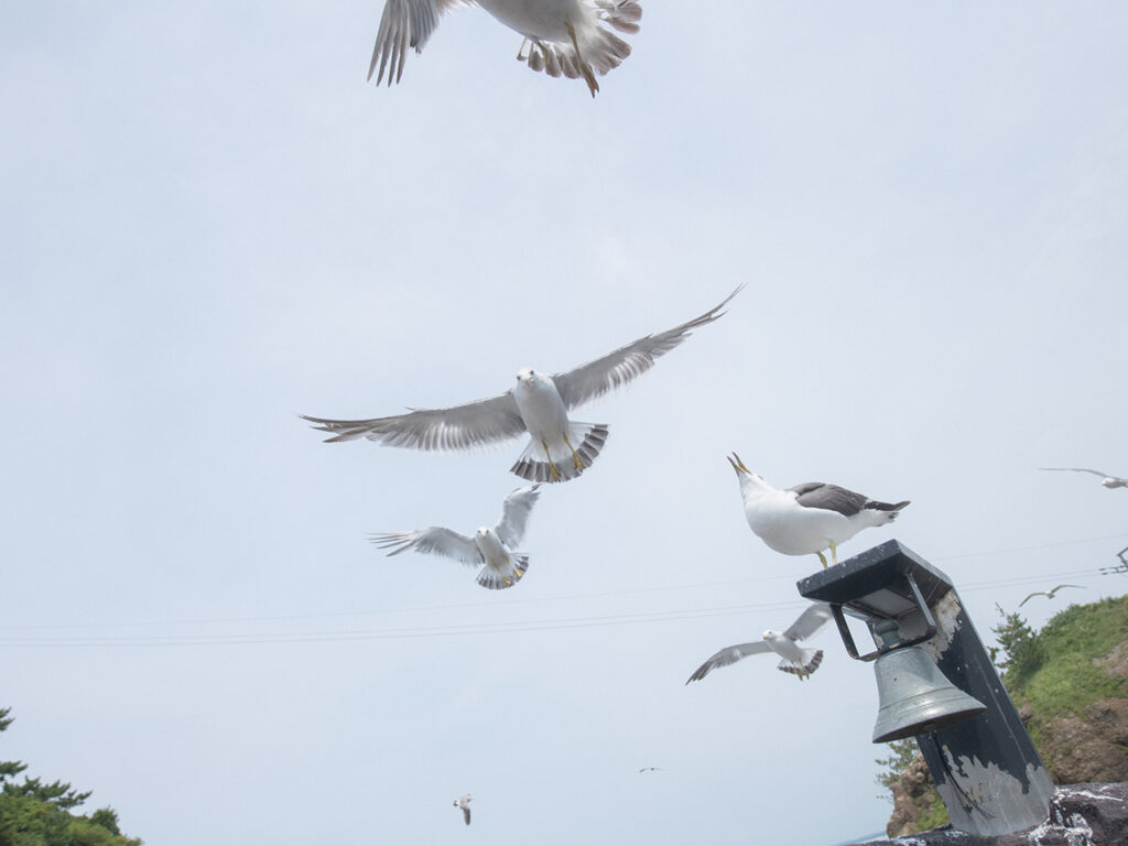 加茂水族館