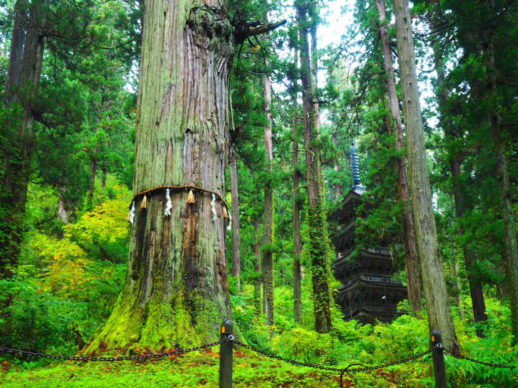 ca41c08cc46b7e72d7b890998a1789