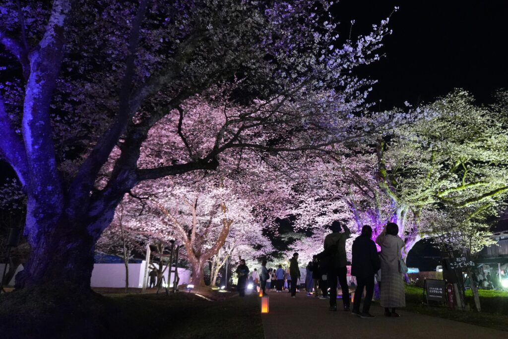 月ノ子の居る丘 あの花が咲く丘で、君とまた出会えたら。 (スターツ出版文庫