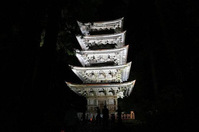 五重塔ライトアップ2025