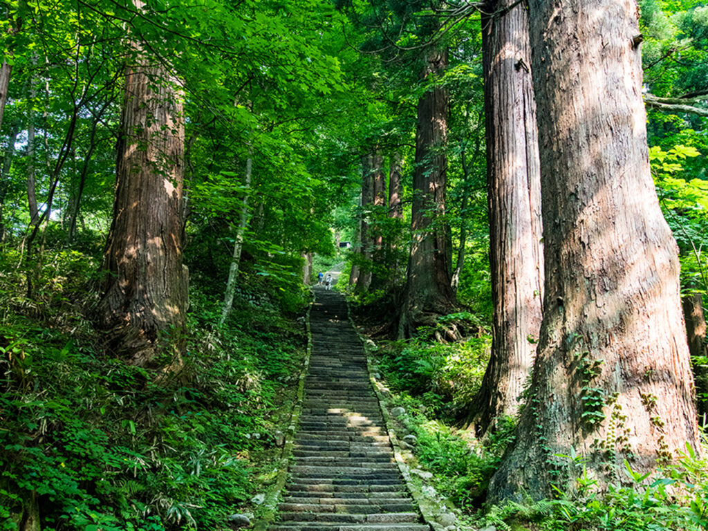 羽黒山　石段詣