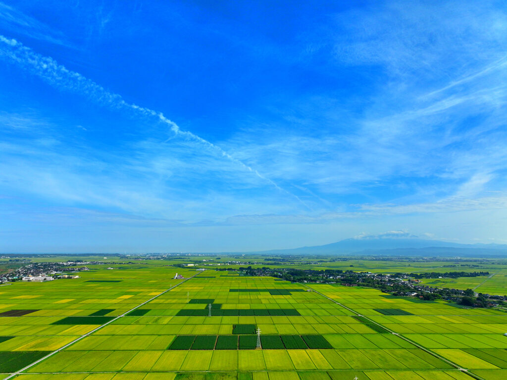 庄内平野 田園 DEGAM空撮