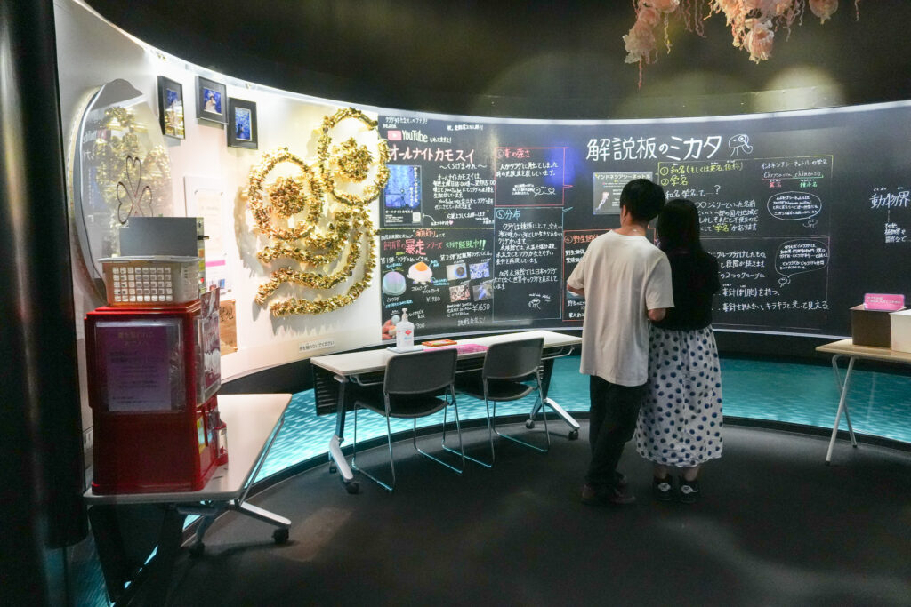 クラゲ展示で世界最大級！山形・鶴岡「加茂水族館」 展示の魅力を徹底